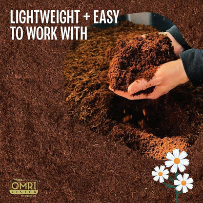Stop Killing Your Plants With Bad Soil.